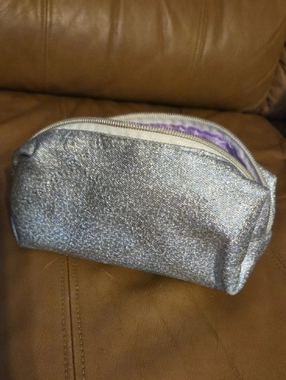 Silver Sparkle With Purple Liner Cosmetic Pouch - Women's Makeup Case